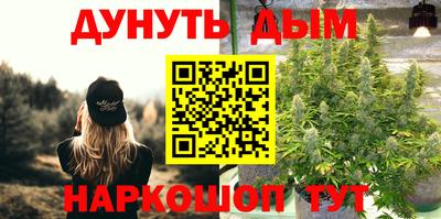стафф Ставрополь