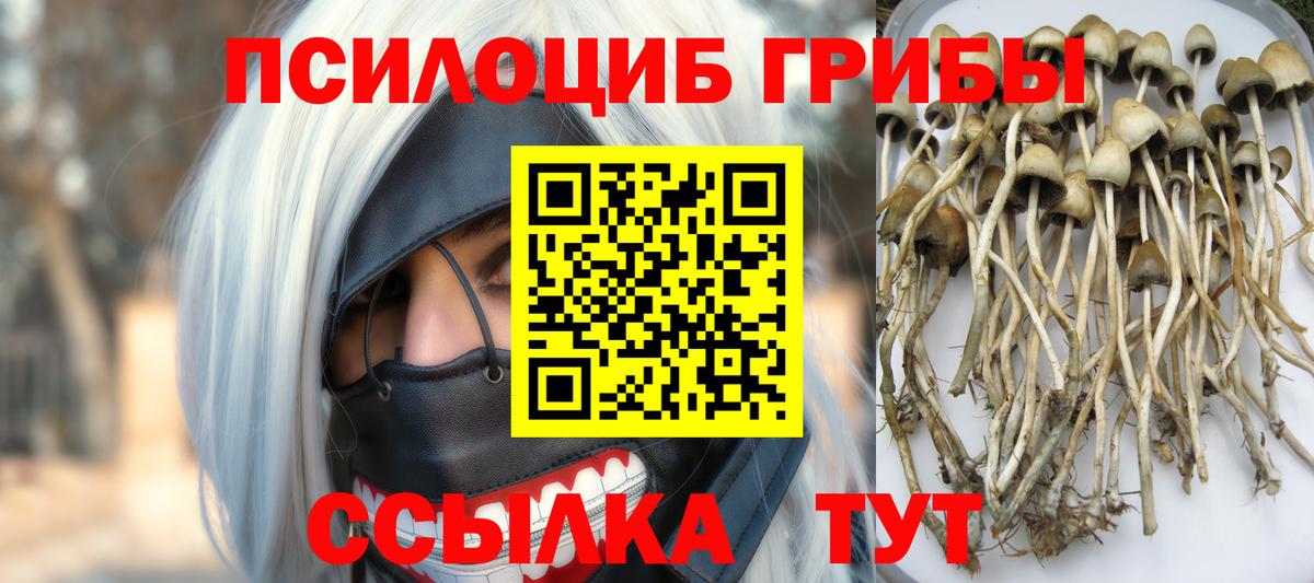 Псилоцибиновые грибы мухоморы  Вход с VPN  Белово  Галлюциногенные грибы ЛСД 